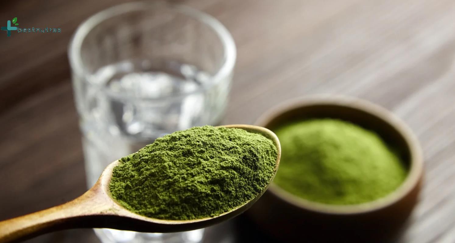 Bulk Spinach Powder