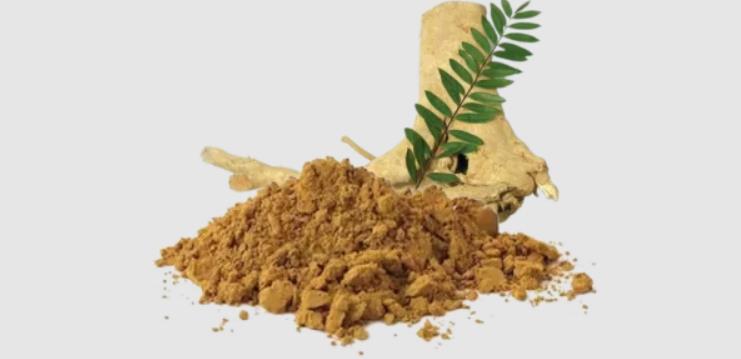 tongkat-ali-extract-powder